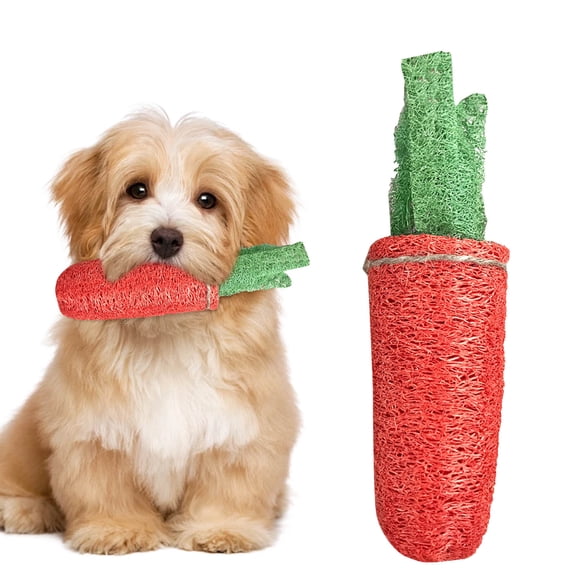Pet Toys for Dogs Cats and Rabbits | Loofah Carrot Shaped Stuffed Toy with Chew Texture Enhances Health and Indoor Outdoor Play 19x5 cm