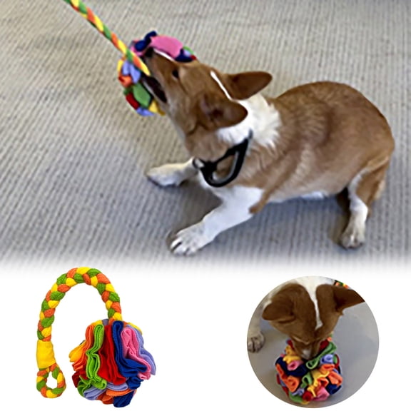 Pet Toys for Dogs and Cats Enrichment Snuffle Slow Feeder Teething Chewing Foraging Sniffing Indoor Outdoor Training Mind Stimulation