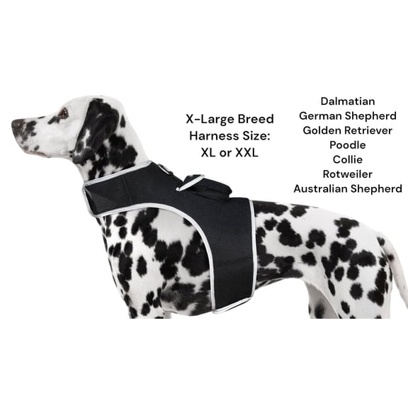 Pet Tracker - Best Dog GPS Tracker Buckle Clipped Rechargeable GSM Locator Size:S