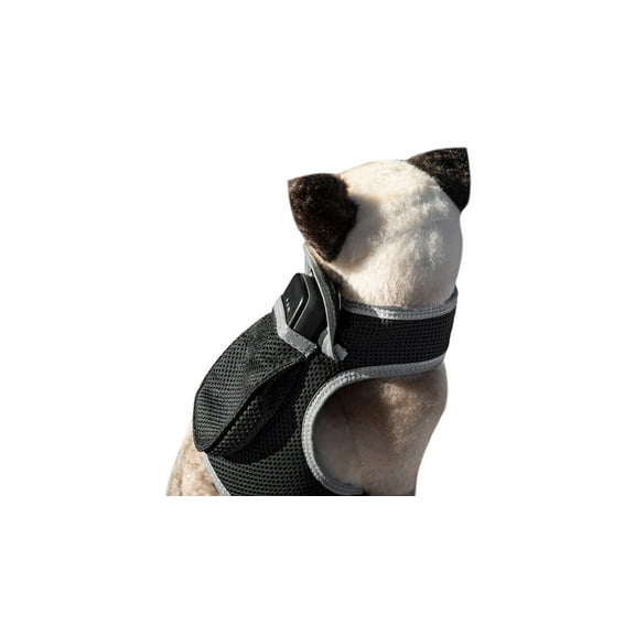Pet Tracker Collar Tracker Wireless Security with GPS Pet Tracking App Size:XS