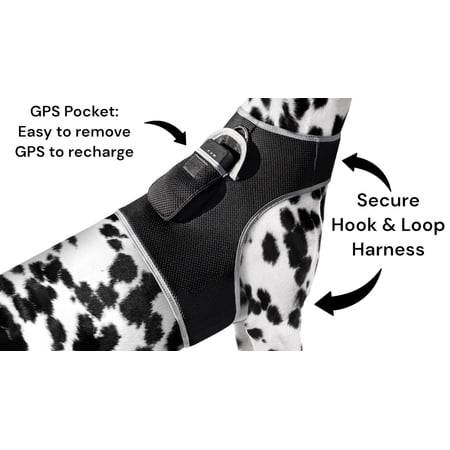 Pet Tracker Mini Rechargeable GSM GPS Tracking Device for Cats w/ Mobility Detector Size:S