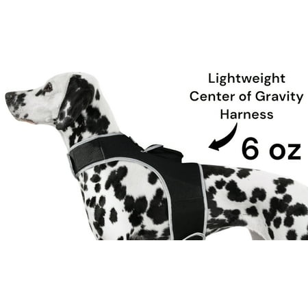 Pet Tracker Motion Detection Rechargeable Pet Finder Best GPS Dog Tracker Size:M