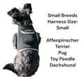 thumbnail image 1 of Pet Tracker Pet Finder Best GPS Dog Tracker w/ Android iPhone Application Size:S, 1 of 5