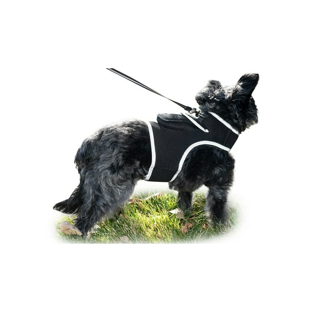 Pet Tracker Waterproof GSM GPS Tracking Chip for Dogs Pet Lost Prevention Size:XL