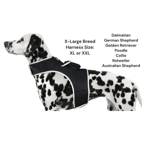Pet Tracker Waterproof Pet Finder Best Dog Tracking Device - SIM Required Size:S