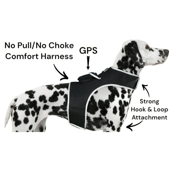 Pet Tracker - Wireless Tracking Pocket Pet GPS Tracker Cat Collar Tracker Size:XL