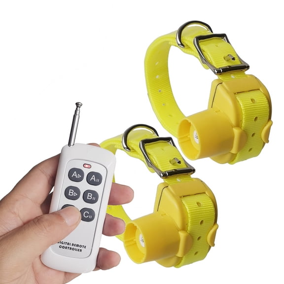 Pet Training Collar