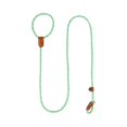 thumbnail image 1 of Pet Training Dog Lead, Slip Dog Walking Leash, Anti-Lost Dog Leash - For Dog Training, Slip Style with Leather Accents, Nylon Rope Construction - For Dogs, Daily Walking, Training Sessions, Outdoor A, 1 of 4