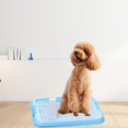 thumbnail image 1 of Pet Training Toilet Tray Mesh Grids Potty Trainer Keep Paws and Floors Clean Loo blue, 1 of 8