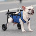 thumbnail image 1 of Pet Trolley Adjustable Hind Leg Disabled Pet Dog Mobility Aid Light Rehabilitation Legs Pet Wheelchair Walk Trolley Tools (XS), 1 of 6