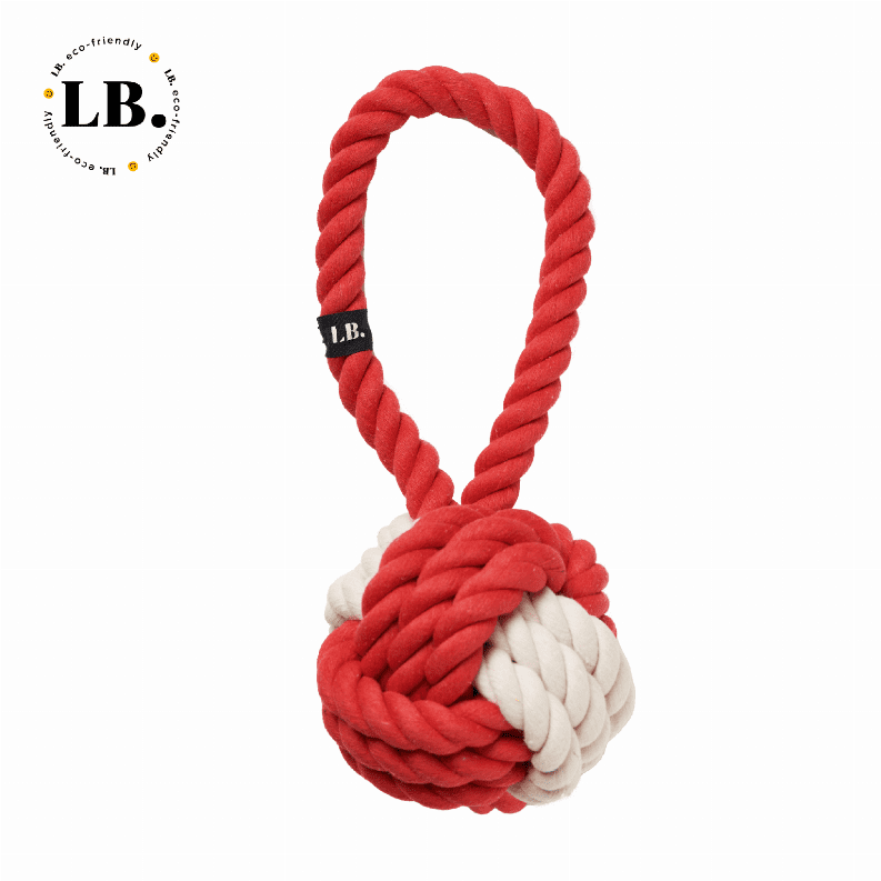 Pet Twisted Rope Toy - Bright Red - Eco-friendly Dog Toy - Walmart.com