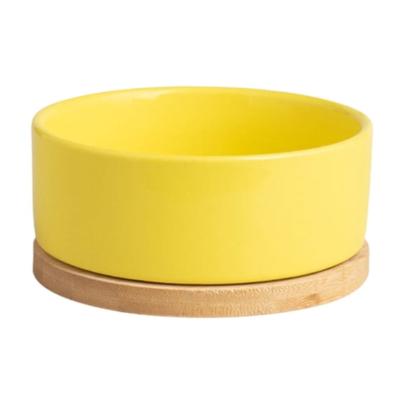 Pet USB Heated Water Bowl, Ceramic Thermostatic Pet Water Dispenser, Perfect for Winter Use, 4.8x2.24 inch