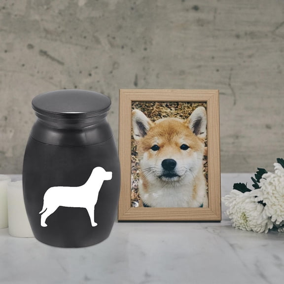 Pet Urn Casket Burial for Dogs Cats Ash Supplies Funeral Portable Remembrance Lightweight Stainless Steel Container Memorial Keepsake