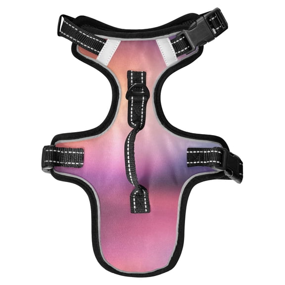 Pet Vest For Walking With Handle Adjustable Reflective Dog Cat Harness Blurred and Dreamlike