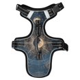thumbnail image 1 of Pet Vest For Walking With Handle Adjustable Reflective Dog Cat Harness Celestial Star Map, 1 of 7
