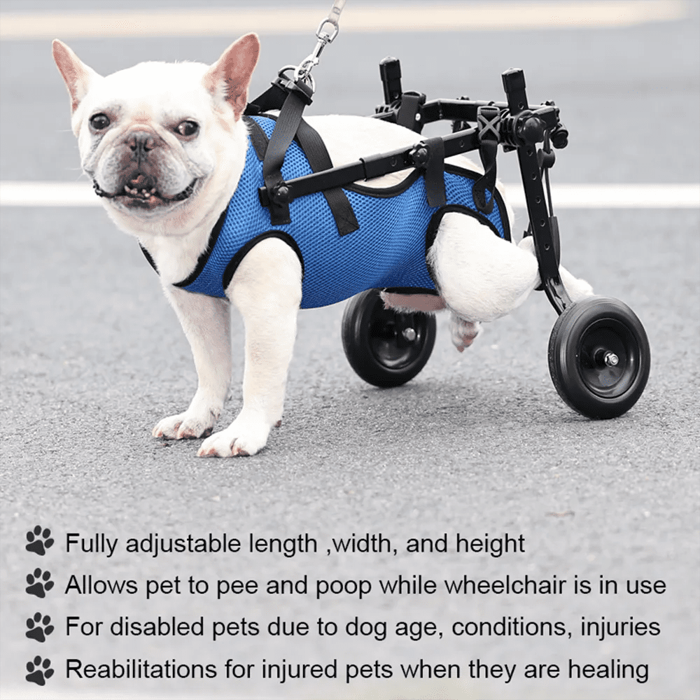 Pet Walk Booster Dog Wheelchair Disability Adjustable Dog Hind Legs