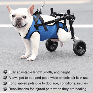 HobeyHove Adjustable Dog Cart/Wheelchair for Back Legs，Pet/Doggie  Wheelchairs with Disabled Hind Legs Walking，Light Weight (7-Size)(XXS)