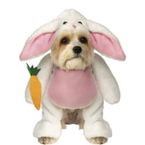 Pet Walking Bunny Costume