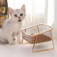 thumbnail image 1 of Pet Water Dispenser Bowl-2-in-1 Cat Dog Feeding Set with Built-In Water Tank, 1 of 1
