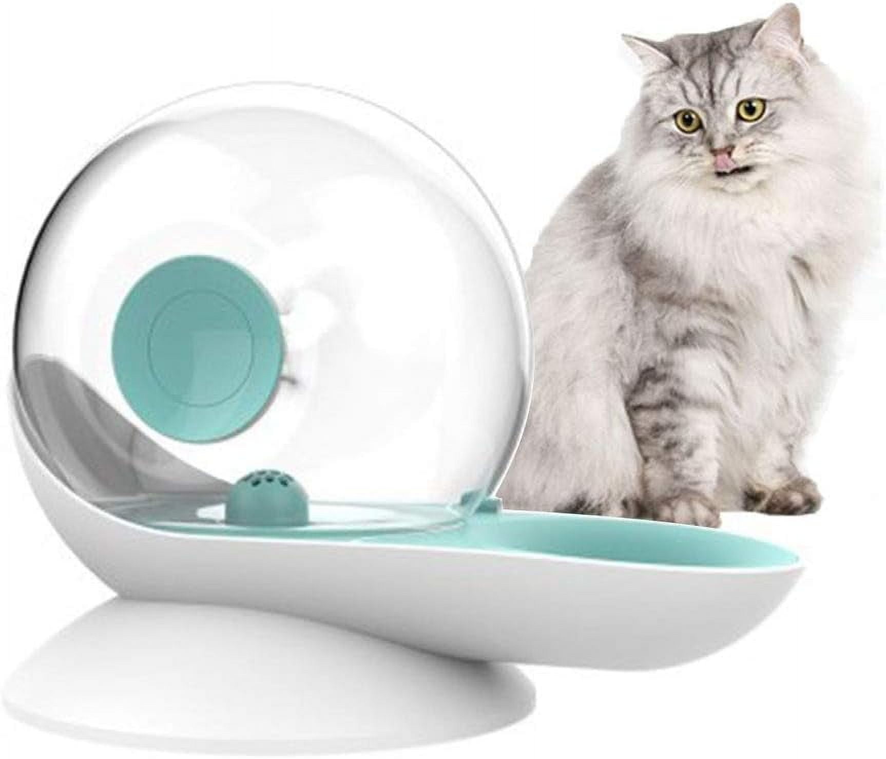 Pet Water Dispenser for Dogs and Pets Gravity Automatic Waterer Feeder Water Drinking Fountain for Small or Medium Size Dogs Cats (Green)