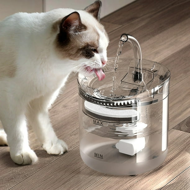 Cat fountain pets at home new arrivals