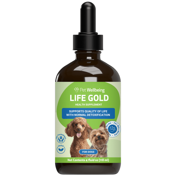Pet Wellbeing - Life Gold For Large Dogs - Natural Cancer Support For Canines - 4oz (118ml)
