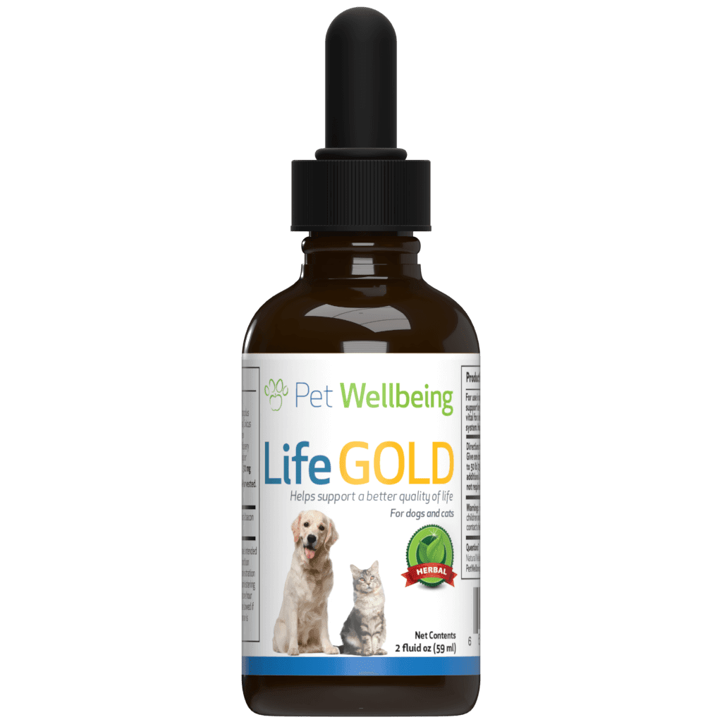 Pet Wellbeing Life Gold for Cats - Vet-Formulated - Immune Support and Antioxidant Protection - Natural Herbal Supplement 2 oz (59 ml)