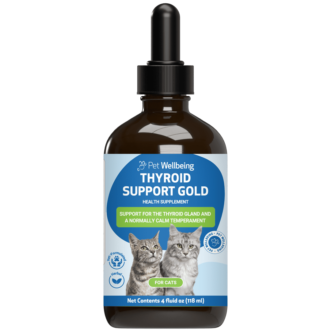 l carnitine for cats hyperthyroid Pet Wellbeing Natural Cat Hyperthyroidism Support