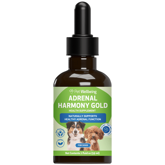 Dogs Cushings Disease Natural Treatment - Adrenal Harmony Gold for Dogs - by Pet WellBeing