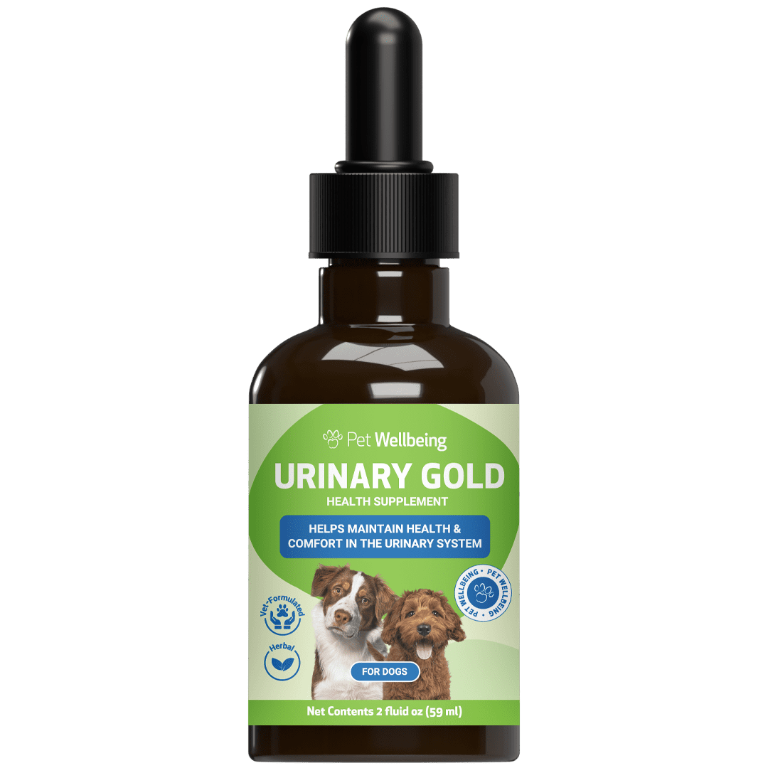 Photo inspiration: Gallery Detail: Pet Wellbeing Urinary Gold For Cats