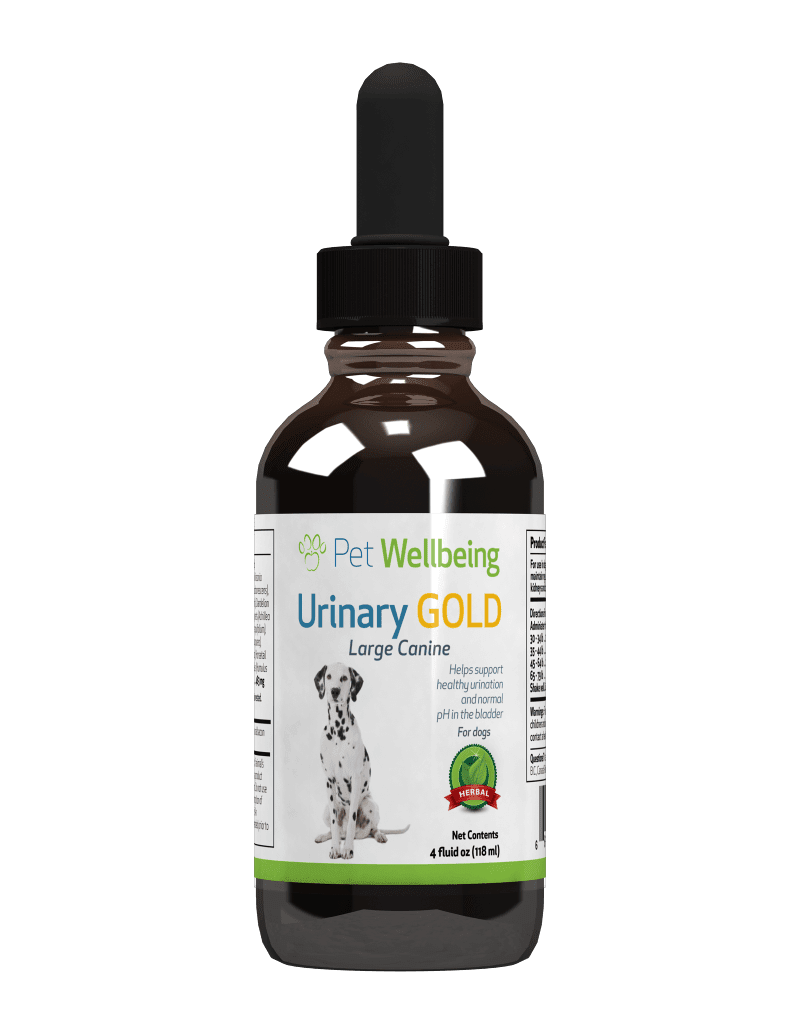 Pet Wellbeing - Urinary Gold for Dogs - Natural Support for Canine Urinary Tract Health - 4oz (118ml)