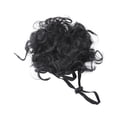 thumbnail image 1 of Pet Wig, Black Curly Afro Hairstyle, 1 Piece for Cats and Dogs, Funny Cosplay Costume Accessory for Halloween Party Holiday Photo Shoot Decoration, 1 of 4