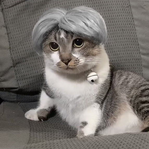 Pet Wig Costume for Cats and Dogs Funny Headpiece for Dress Up Photoshoot Party Decoration Silly Animal Hair Wig Silly Look, 8 Inch Gray