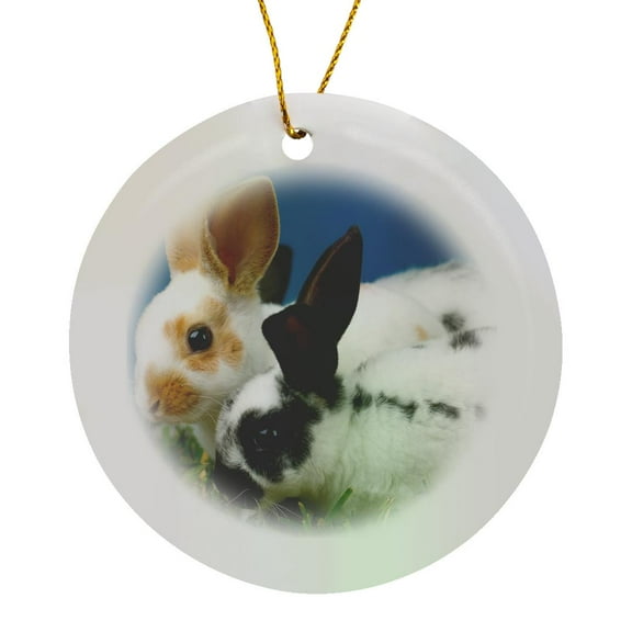 3drose, Pet - Young Rex Rabbits., Circle Porcelain Ornament
