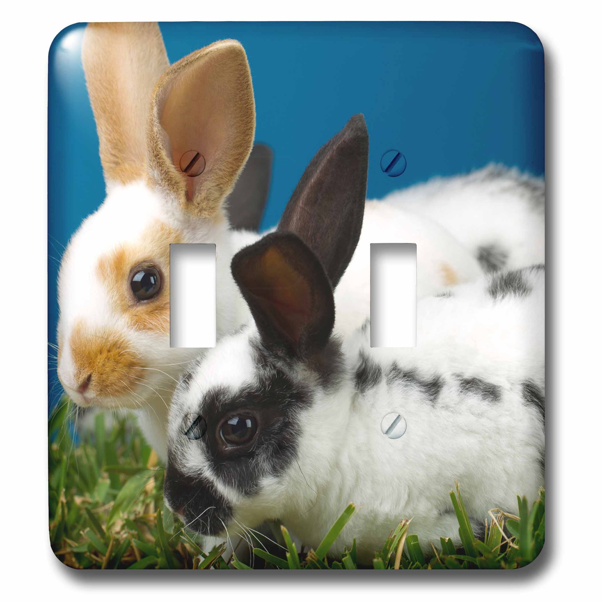 Tobar Rabbit Switch Adapted 3dRose, Pet - Young Rex rabbits., double toggle switch - Walmart.com