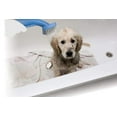 thumbnail image 1 of Pet Zoom Bathe N' Groom Indoor Outdoor Dog Washer and Grooming System with 4 Foot Hose and Three Connectors, 1 of 8