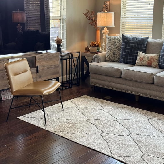 Pet and Child Friendly Washable Easy Clean Non-Slip Modern For Living Room,Kitchen,Game Room,Bedroom,Hallway Area Rug Wild \ Gray