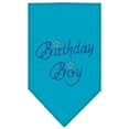 thumbnail image 1 of Birthday Boy Rhinestone Bandana Turquoise Large, 1 of 2