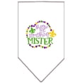 thumbnail image 1 of Pet and Dog Bandana Screen Printed, "Throw Me Something Mister", 1 of 9