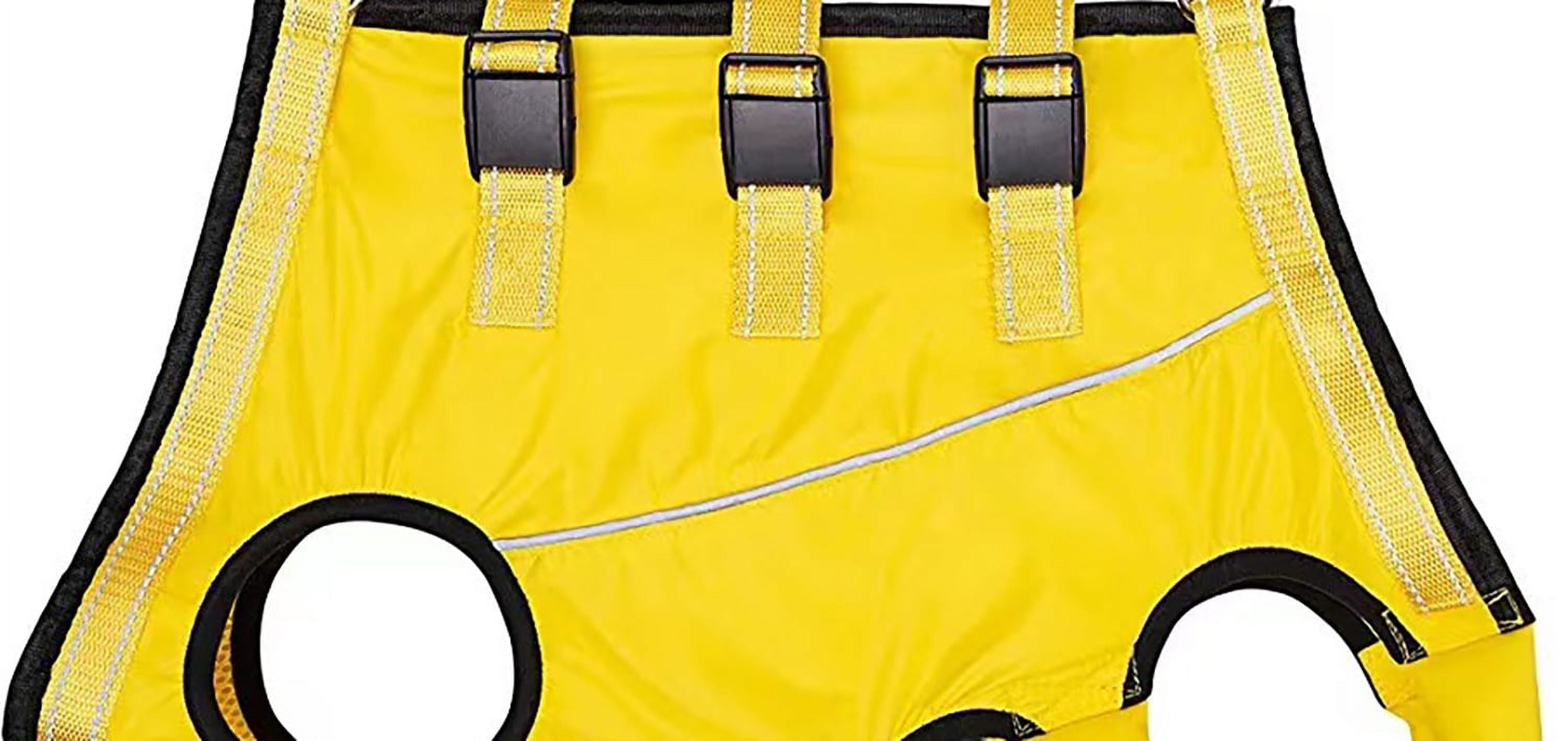 Pet assistive suit for elderly disabled dogs with walking difficulties