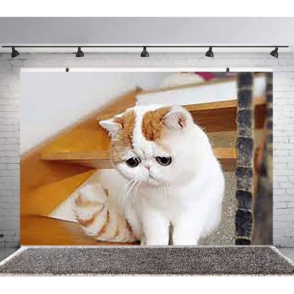 Pet cat Backdrop Banner Party Supplies Poster Movie Theme Background for Photography Birthday Decorations