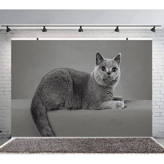 Pet cat Backdrop Banner Party Supplies Poster Movie Theme Background for Photography Birthday Decorations