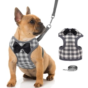 Pet check chest strap dog vest bow chest strap pet traction rope