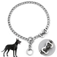 thumbnail image 1 of Chain Dog Collar, Metal Links Walking Training Collar, for Small, Medium, Large Dogs(L), 1 of 6