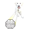 thumbnail image 1 of Pet*iD Tag Service Plan Pack, 1 of 1