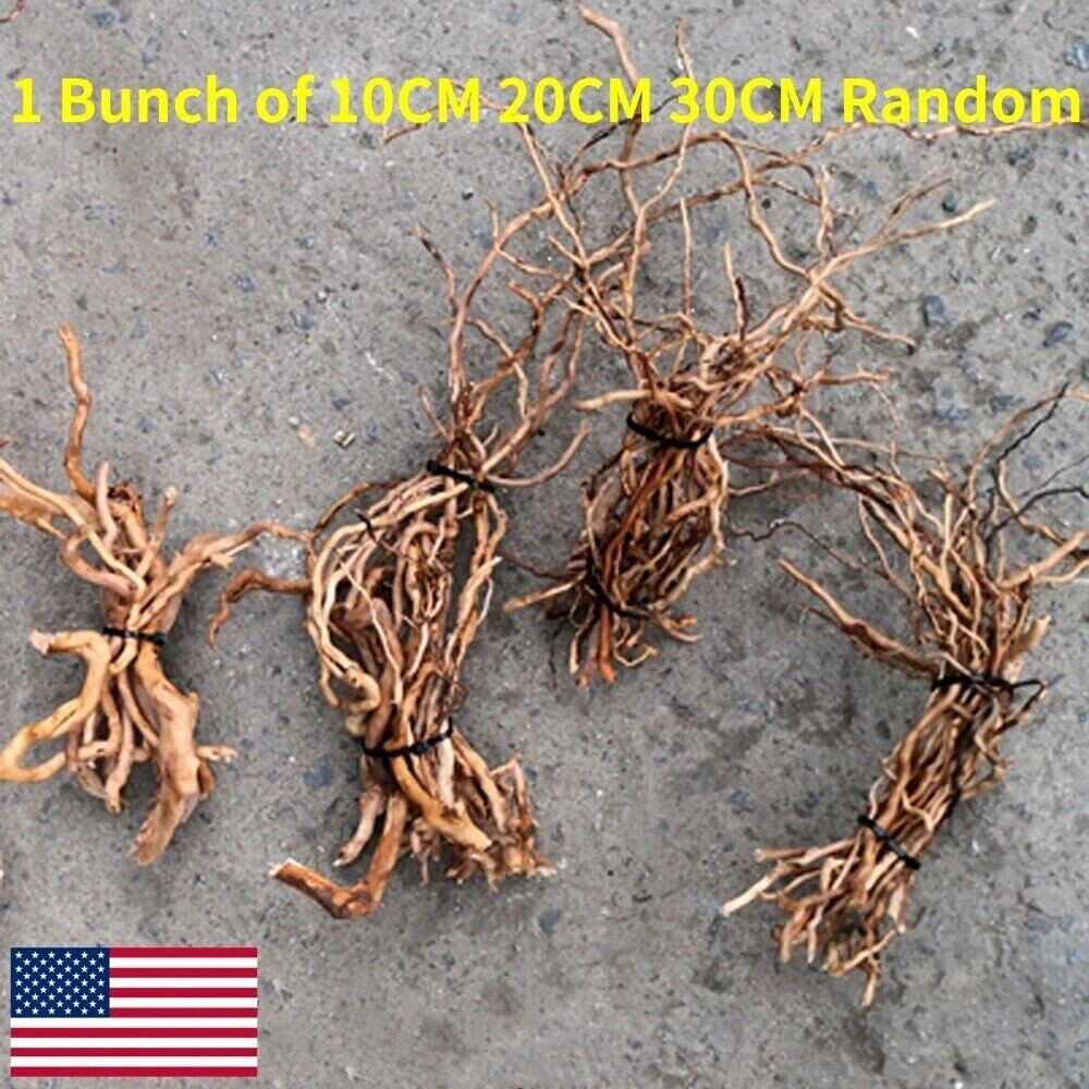 Pet kare - 1 Bunch Random 10/20/30CM Driftwood Root Trunk Tree Fish Aquarium Landscap Decor