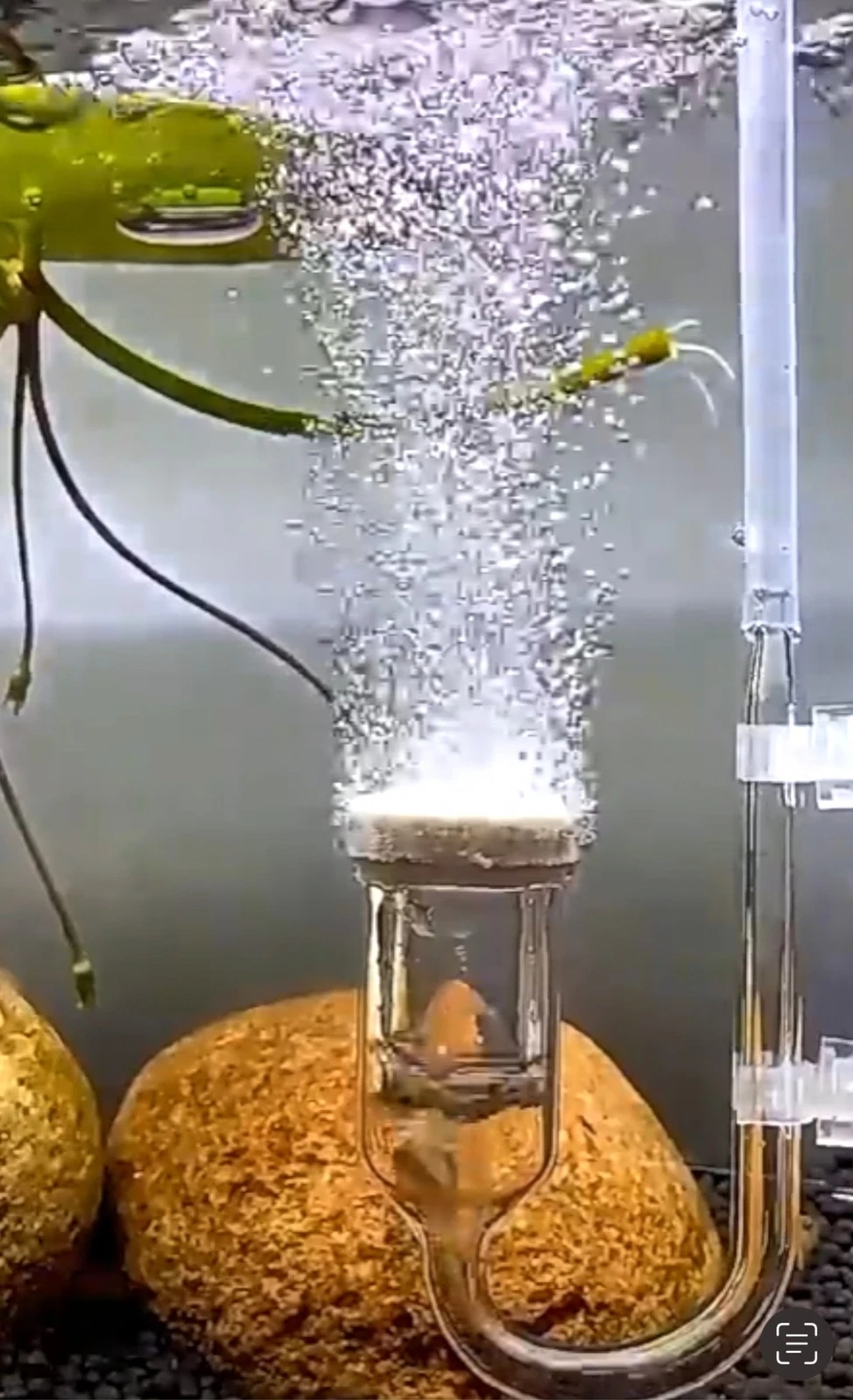 Pet kare - Fish Aquarium Nano Air Bubble Stone Diffuser Atomizer Tube Increase Oxygen