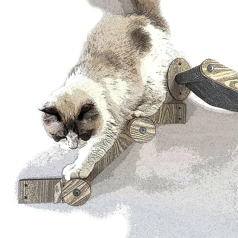 Pet kare - HeyKitten Cat Climbing Wall Stairs with Two Steps of Jute Rope Wrapped Posts ...