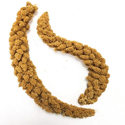 Pet kare - Volkman Seed Company Spray Millet Bird Treat 1 Each/6 O