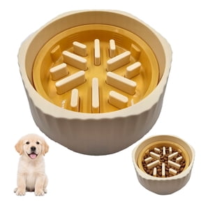 Photo inspiration: Visual Reference: Whippy Slow Feeder Dog Bowl Pet Food Feeding Bowl Preventing